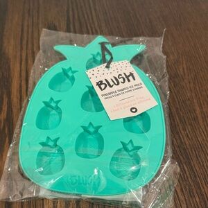 Blush pineapple shaped ice mold new